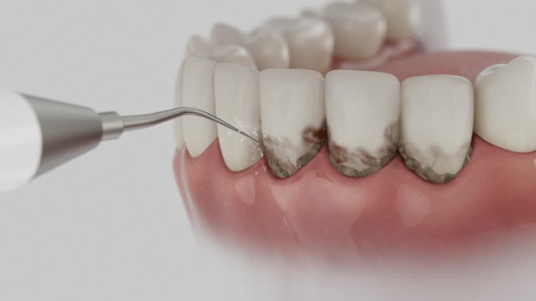 Reliable Dental contractor in River Ridge, LA by Dentist Open Now